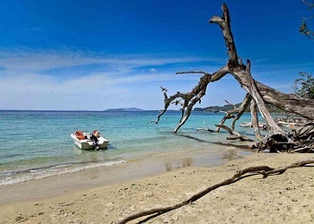 andaman trip package