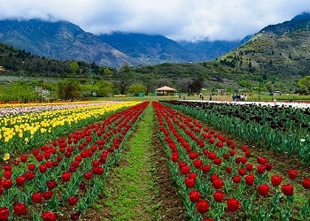 Jammu & Kashmir Tour Package