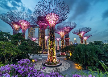 Singapore Delights With Gardens By The Bay